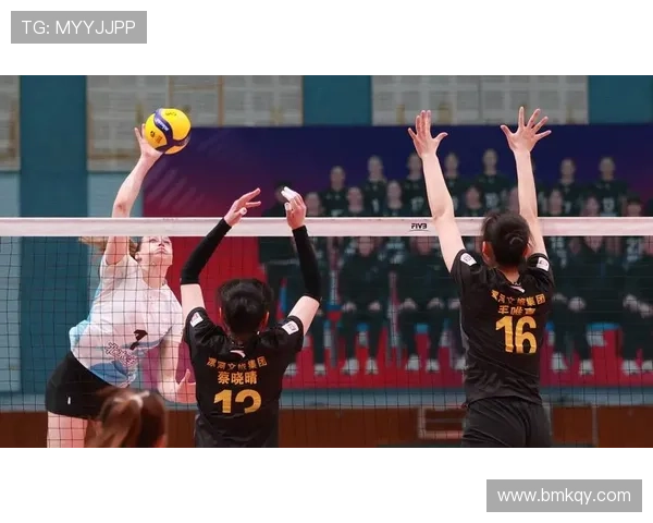 体育精英女排联赛比（体育女排赛事）sports